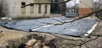 Сировину з Ковельського ветсанзаводу перевезуть в інші області