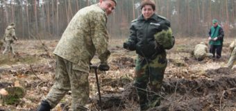 Волинські прикордонники садили ліс
