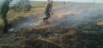 На Волині лісівники ліквідували осередок пожежі