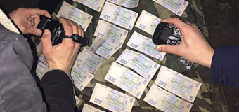 На хабарі затримали волинянина, який організував нелегальну торгівлю деревиною