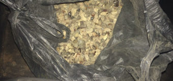 На Рівненщині у волинянина вилучили 15 кілограмів бурштину. ФОТО