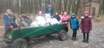 У волинських лісах розпочалось генеральне весняне прибирання