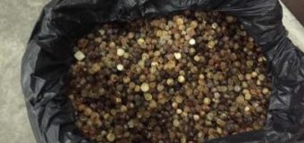 Ковельчан спіймали на кордоні із 13 кілограмами бурштину