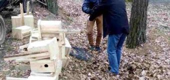 У волинському лісгоспі повісять 1000 шпаківень