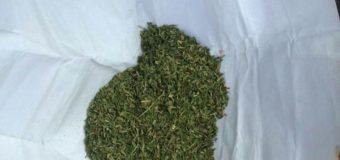 У Луцьку затримали водія, що перевозив наркотики