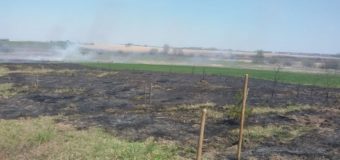 Через невідомих, які спалювали суху траву, згорів садок волинянки
