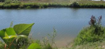На Волині у власність держави повернули 5 гектарів ділянок водного фонду