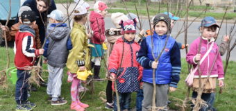Дошкільнята, комунальники, депутати: як у Луцьку озеленювали вулицю. ФОТО