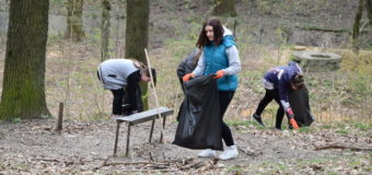 Прихожани протестантської церкви спільно з депутатами влаштували в Луцьку толоку. ФОТО