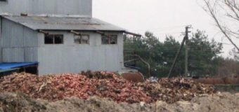 Працівники ковельського ветсанзаводу не отримували зарплати
