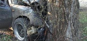 На Волині ДТП: “Volkswagen Pasat” зіткнувся з придорожнім деревом