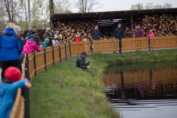 На Волині сім'ї воїнів АТО, з Луцька, Рожища та Нововолинська, зібрали на відпочинок 12