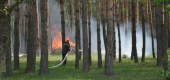 Як вберегти ліс від пожежі