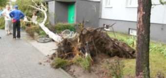 Потужні бурі накрили Польщу: повалені дерева, підтоплені будинки
