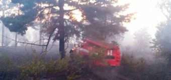 Волинян просять не провокувати пожежі на відкритих територіях