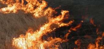 Волинянин через необережність спалив майже гектар трави