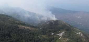 Пожежі у Чорногорії: затримали громадянина Польщі, підозрюваного у підпалах