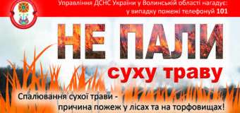 На Волині рятувальники загасили два загорання стерні