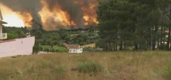 Португалія просить ЄС допомогти в боротьбі з лісовими пожежами