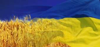 У святкові дні волиняни зможуть цілодобово скористатися послугами “ПриватБанку”