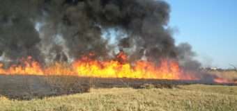 На Волині за добу вогнеборці загасили п’ять пожеж