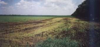На Волині поліція відкрила кримінальне провадження за фактом забруднення земель