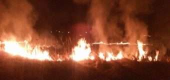 На Волині за минулу добу рятувальники загасили дві пожежі