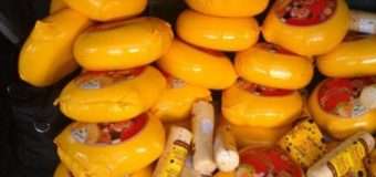 Волинські митники виявили контрабанду сиру майже на 50 тисяч гривень