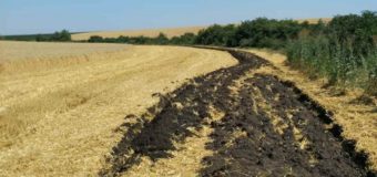 На Волині підприємство самовільно зайняло земельну ділянку площею близько 70 гектарів