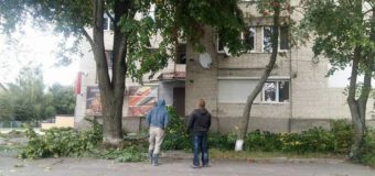 У Луцьку чоловіки намагалися зрізати гілки дерева, які закривали вивіску магазину. ФОТО