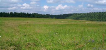 На Волині громаді повернули земельну ділянку вартістю більше 112 тисяч гривень