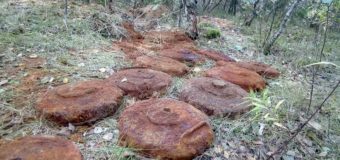 На Волині піротехніки продовжують знешкоджувати боєприпаси часів війни. ФОТО