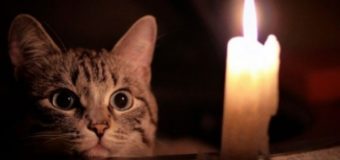 Де сьогодні в Луцьку не буде світла