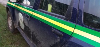На Волині затримали трактор з деревиною без документів та без чипів