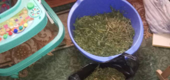 У волинянина вилучили близько двох кілограмів марихуани. ФОТО