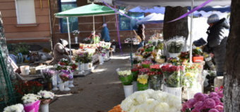 У Луцьку квітковий ринок офіційно переїжджає