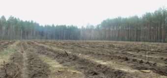 На Волині активно готуються до весняної лісокультурної кампанії