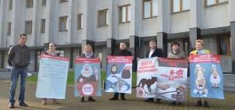 Луцьк долучився до акції за Велику політичну реформу. ФОТО