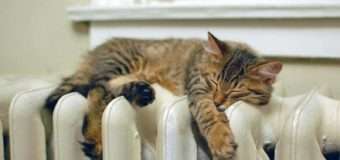 У Луцьку наступного тижня розпочинають опалювальний сезон