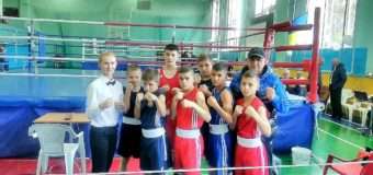 Волиняни вибороли чотири медалі на чемпіонаті України з боксу
