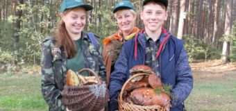Юних волинян навчали вдалого і безпечного збору лісових дарів. ФОТО