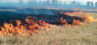 Екологи закликають волинян не спалювати суху рослинність