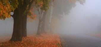 На Волині  очікується туман: в суботу 21 жовтня оголосили жовтий рівень небезпечності