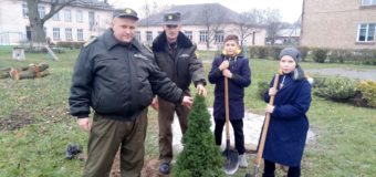 На Волині реалізували проект-переможець конкурсу ідей дендропарків та скверів. ФОТО