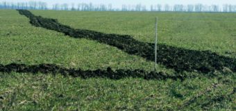 На Волині підприємство самовільно зайняло земельну ділянку площею понад 18 гектарів