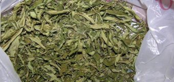 На Волині поліцейські вилучили майже кілограм марихуани. ФОТО