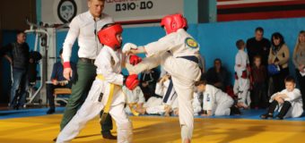У Луцьку відбувся турнір з рукопашного бою “Магістр бойових мистецтв”