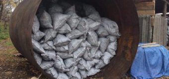 Група волинян нелегально виготовляла та експортувала деревне вугілля до Польщі. ФОТО