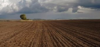 На Волині сільраді повернули більше 200 гектарів землі