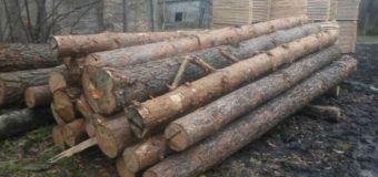 На приватній пилорамі волинянина вилучили деревину без чипів